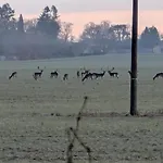 Sommerland Uckermark * Thomsdorf (Brandenburg)