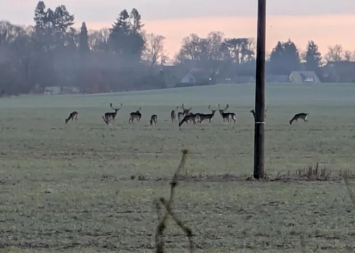 Sommerland * Thomsdorf (Brandenburg)